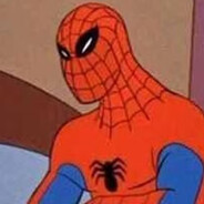 SPIDER VAN